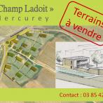 Affiche Champ Ladoit