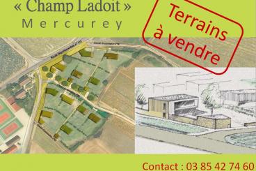 Affiche terrains Champ Ladoit