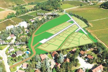 Vue aérienne du lotissement Les Cèdres à Mercurey