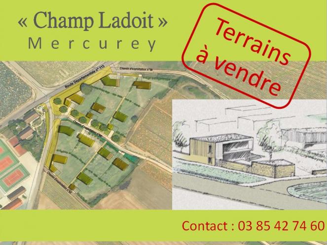 Affiche terrains Champ Ladoit